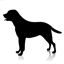 Hunters Lodge Country Boarding Kennels & Cattery