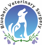 Bluebell Veterinary Surgery