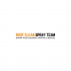 Roof Clean Spray Team