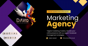 David Marketing Specialist