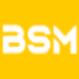 Bsm Group