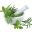 Herbal Care Products