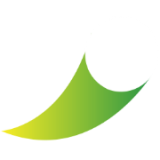 D Heppard logo