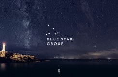 Blue Star International Holdings Limited logo