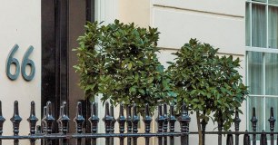B & B Belgravia