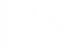 Balmer Lawn Hotel
