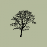 Cedars Hotel logo