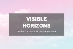 Visible Horizons