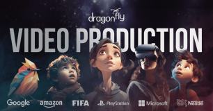 Dragonfly Information Systems Limited