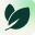 City Estate Services