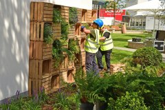 Elite Landscapes Limited