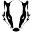 Badger Rugby Limited logo