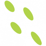 Encapsulite (International) Limited
