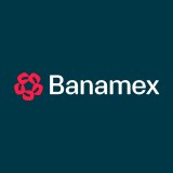 Banamex Investment Bank Plc