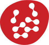 Business Data International Limited