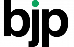 B J P Consulting Group Limited