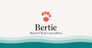 Bertie