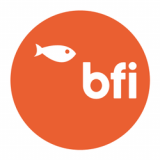 Big Fish Internet