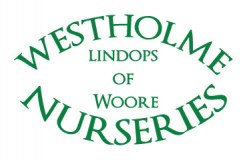 Westholme Nurseries