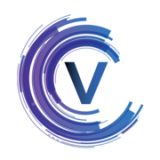 Vision Techniques Group Plc