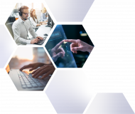 Carlex Limited