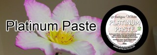 Diamond Paste & Mould Co. logo
