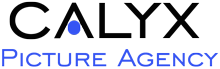 Calyx