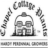 Chapel Cottage Plants Limited