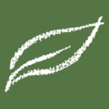 Darby Nursery Stock Limited