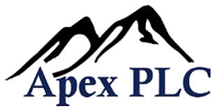 Apex Interactive