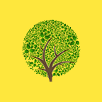 Westside Forestry Limited