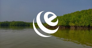Eco Securities
