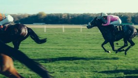 Wetherby Steeplechase Committee Limited