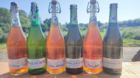 Devon Cider Co. Limited