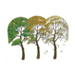Bodenham Arboretum