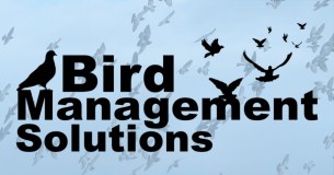 Bird Management Solutions