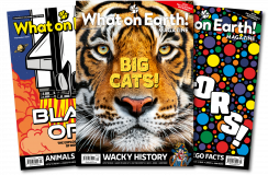What On Earth Limited logo
