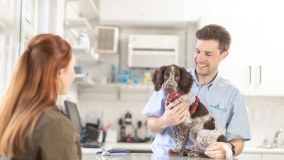 Wheel House Vets Limited