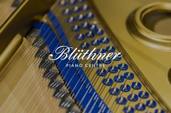Bluthners Piano Centre Limited logo
