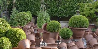 Whichford Pottery