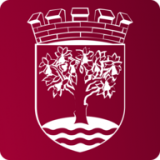 Ch Library