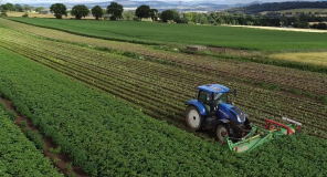 Agrico UK Limited