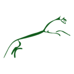 White Horse Contractors Limited