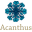 Acanthus Press Limited