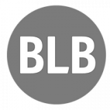 B L B Surveyors