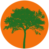 Cafe Dei Cafe