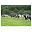 Corrylair Farm Trekking Centre