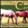 Carole Cattle
