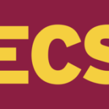 C2c Shipping Lines