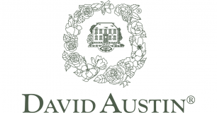 D D Austin Roses Limited